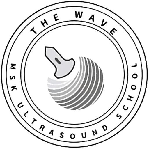 Logotipo The Wave MSK School que representa a un transductor