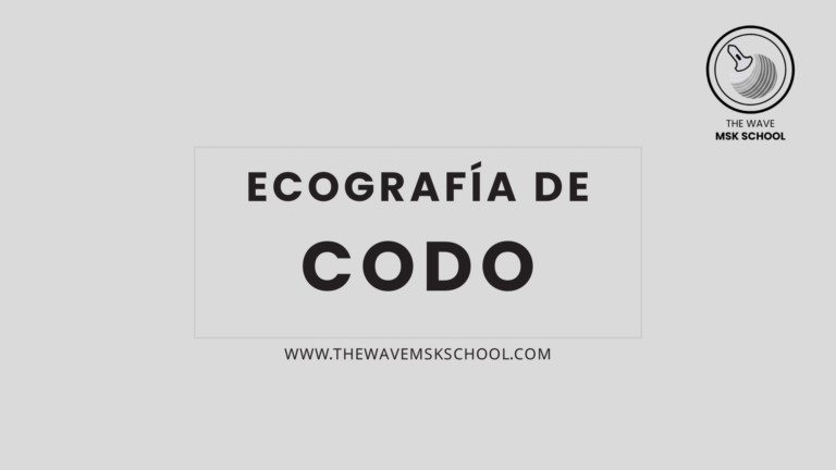 Ecografía de codo - The Wave MSK School