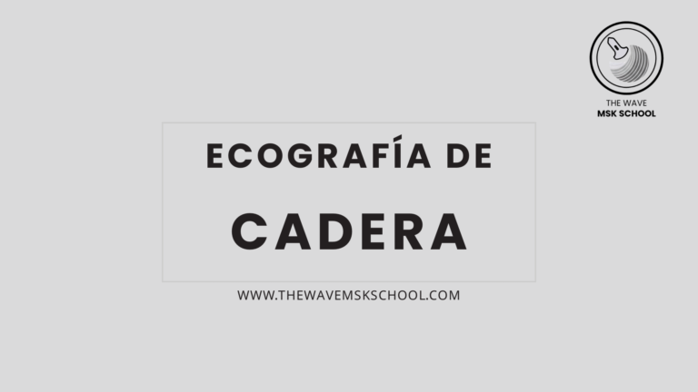 Ecografía de cadera - The Wave MSK School